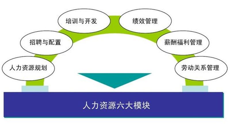 揭秘人力资源六大模块：构建高效人才管理体系
